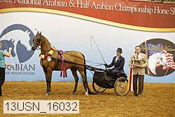 13usn_16032 thumbnail