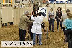 13usn_16033 thumbnail