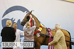 13usn_16037 thumbnail