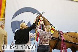 13usn_16038 thumbnail