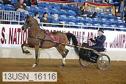 13usn_16116 thumbnail
