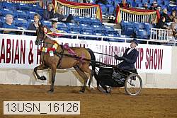 13usn_16126 thumbnail