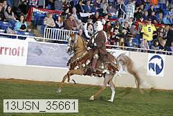 13usn_35661 thumbnail