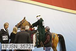 13usn_35721 thumbnail