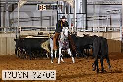 13usn_32702 thumbnail