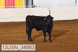 13usn_34663 thumbnail
