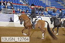 13usn_12764 thumbnail