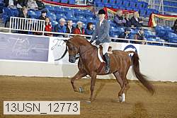13usn_12773 thumbnail