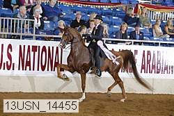 13usn_14455 thumbnail