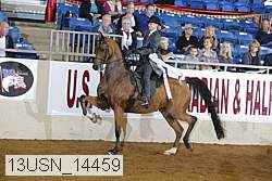 13usn_14459 thumbnail