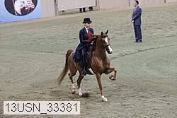 13usn_33381 thumbnail
