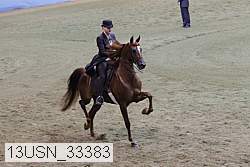 13usn_33383 thumbnail