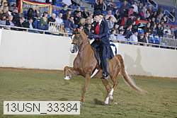 13usn_33384 thumbnail