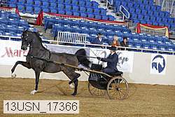 13usn_17366 thumbnail