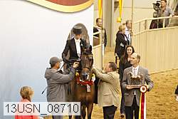 13usn_08710 thumbnail