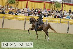 13usn_35043 thumbnail