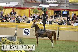 13usn_35048 thumbnail