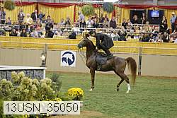 13usn_35050 thumbnail