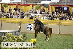 13usn_35051 thumbnail
