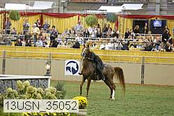 13usn_35052 thumbnail