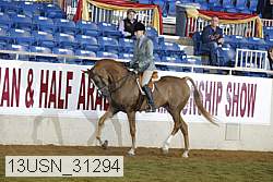 13usn_31294 thumbnail