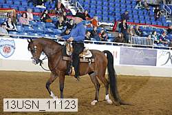 13usn_11123 thumbnail