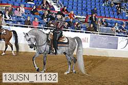 13usn_11132 thumbnail