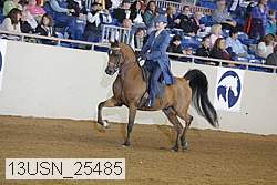 13usn_25485 thumbnail