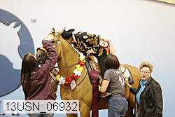 13usn_06932 thumbnail