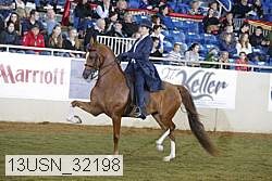 13usn_32198 thumbnail