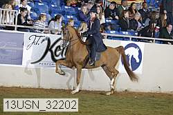 13usn_32202 thumbnail