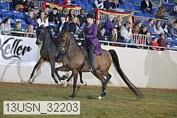13usn_32203 thumbnail