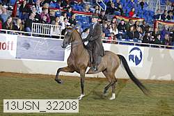 13usn_32208 thumbnail