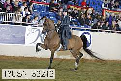 13usn_32212 thumbnail