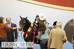 13usn_18110 thumbnail