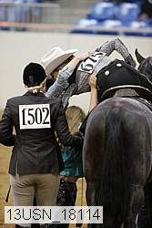 13usn_18114 thumbnail
