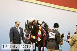 13usn_18125 thumbnail