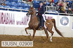 13usn_02908 thumbnail