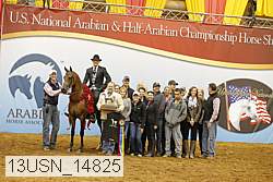 13usn_14825 thumbnail