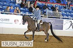 13usn_22192 thumbnail