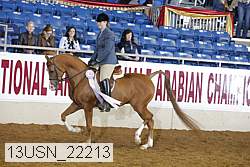 13usn_22213 thumbnail