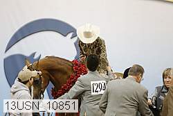 13usn_10851 thumbnail