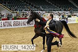13usn_14202 thumbnail