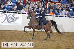 13usn_24210 thumbnail