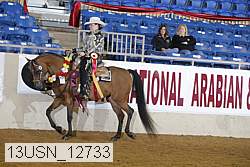 13usn_12733 thumbnail