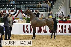 13usn_14294 thumbnail