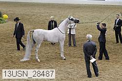 13usn_28487 thumbnail