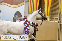 13usn_29287 thumbnail