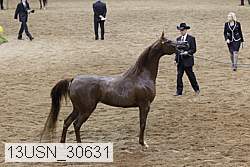 13usn_30631 thumbnail