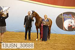 13usn_30688 thumbnail
